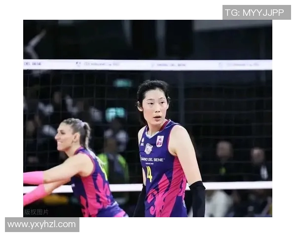 武汉排球队实力强劲荣登排球个人能力排行榜第五名