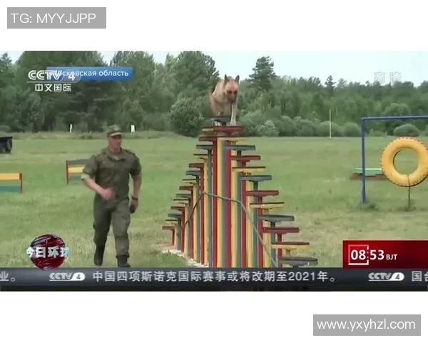 约旦与科威特激战正酣比赛结果揭晓引发热议