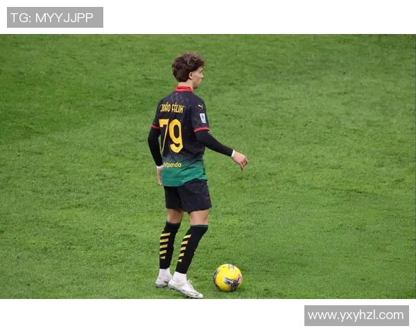 2014年AC米兰对阵维罗纳精彩比赛视频回顾与分析