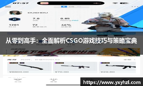 Vsport体育